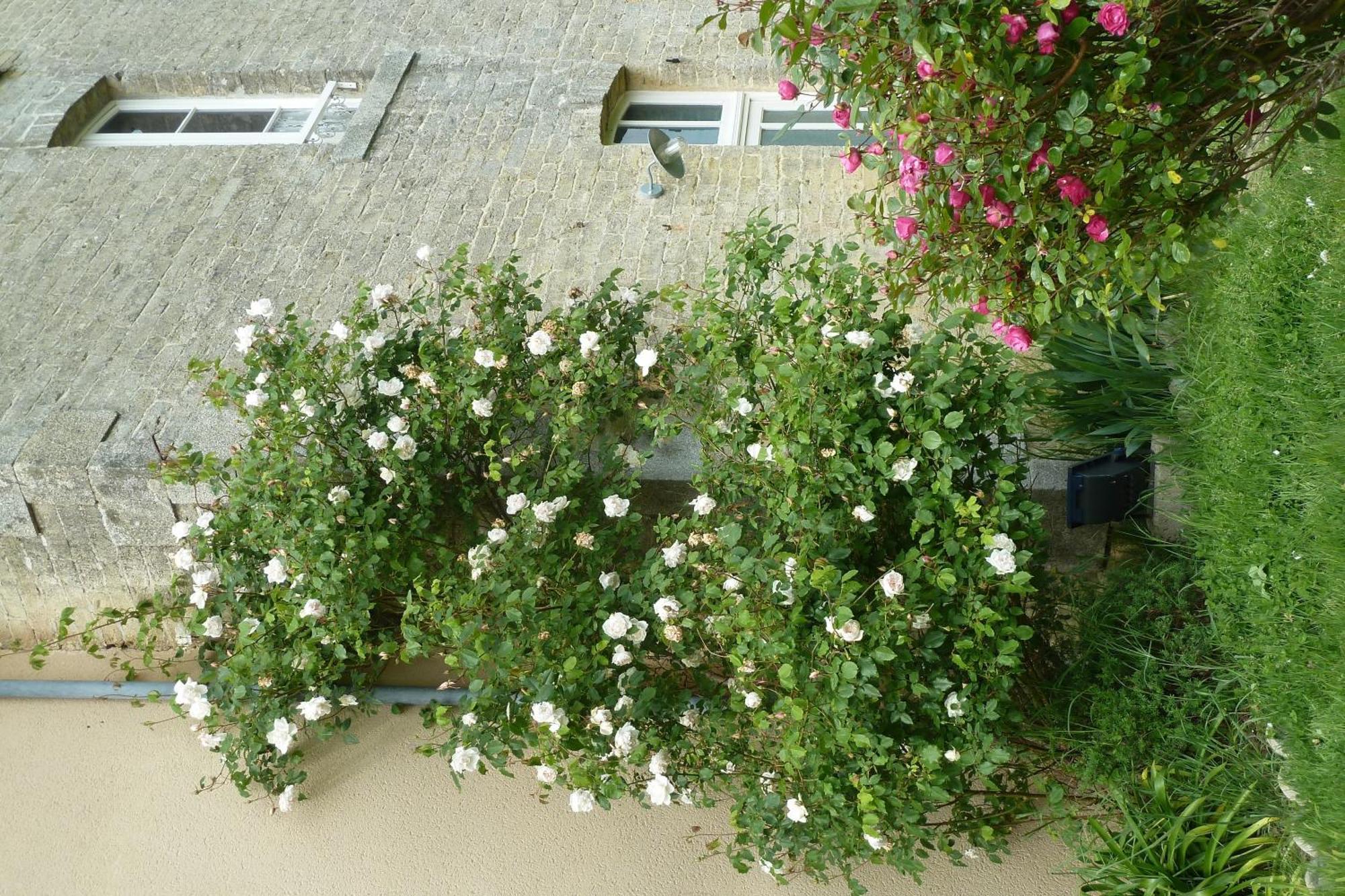 B&B L'Atelier Du Presbytere Saint-Maugan Eksteriør bilde